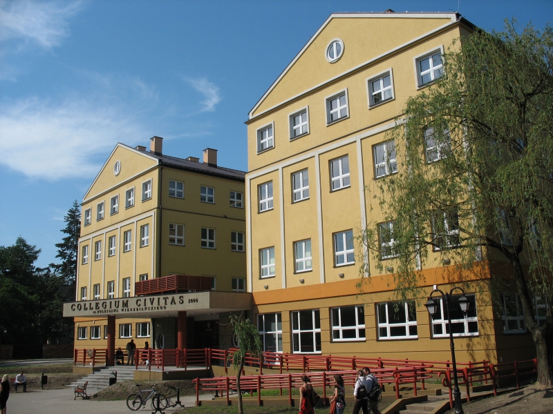 prof. dr hab. Anna Barska